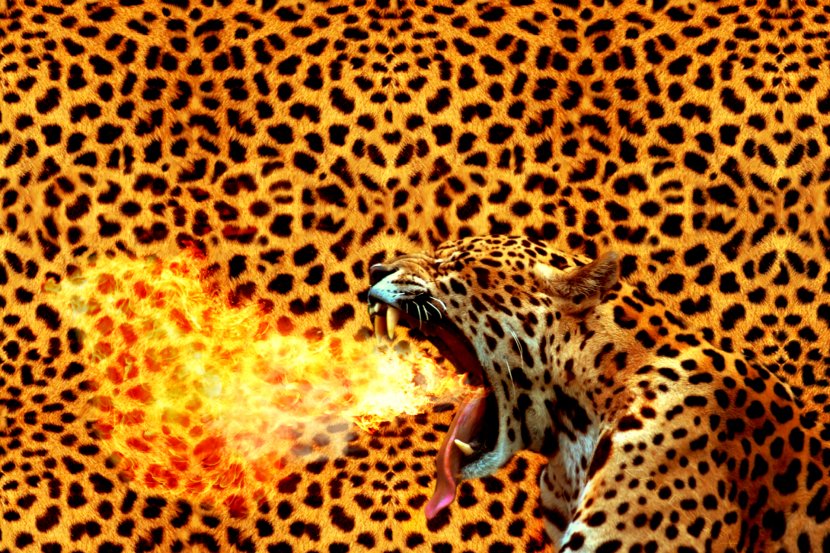 Leopard Cheetah Animal Print Wedding Invitation Throw Pillows - Cushion Transparent PNG