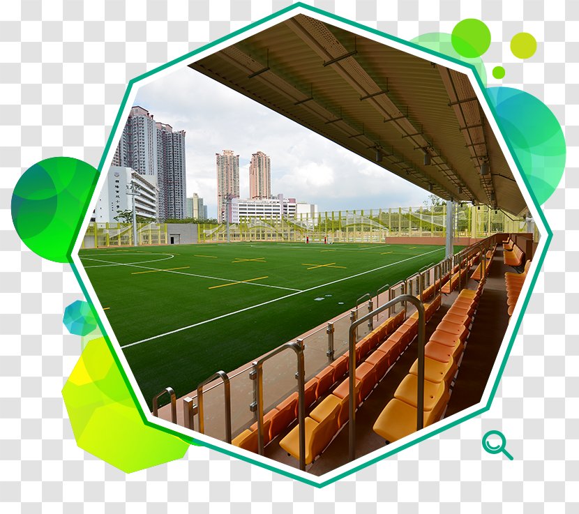 Hong Kong Stadium 天水围（天业路）社区健康中心 Mong Kok Kwai Tsing District FA - Grass - Football Transparent PNG