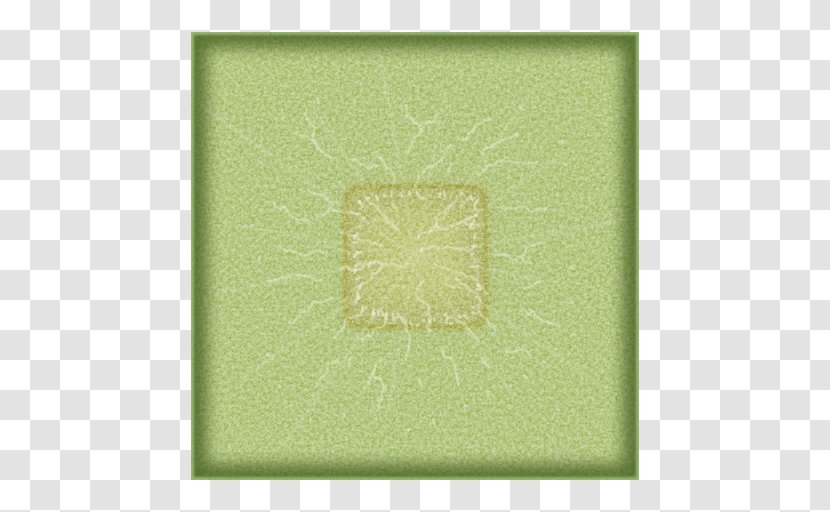 Green Rectangle Pattern - Cactus Top View Transparent PNG