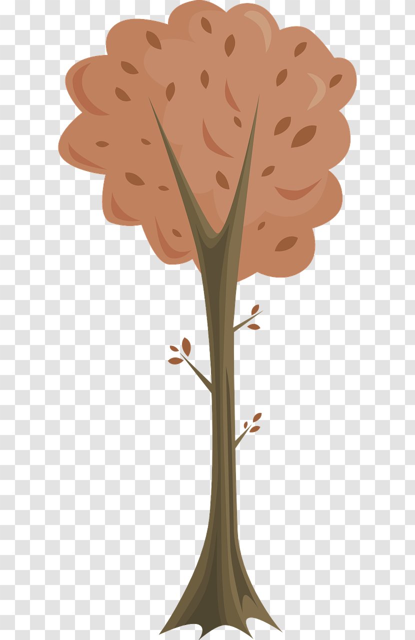 Autumn Tree - Plant - Fir-tree Transparent PNG