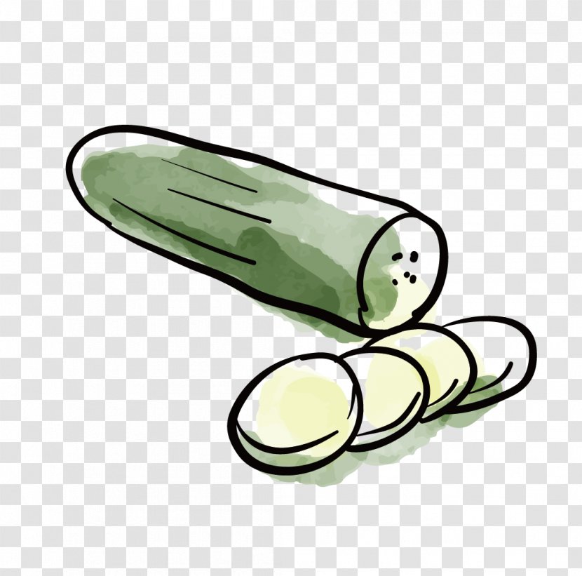 Pickled Cucumber Vegetable Transparent PNG