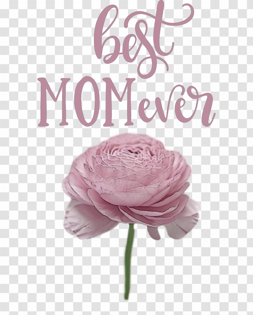 Mothers Day Best Mom Ever Mothers Day Quote Transparent PNG