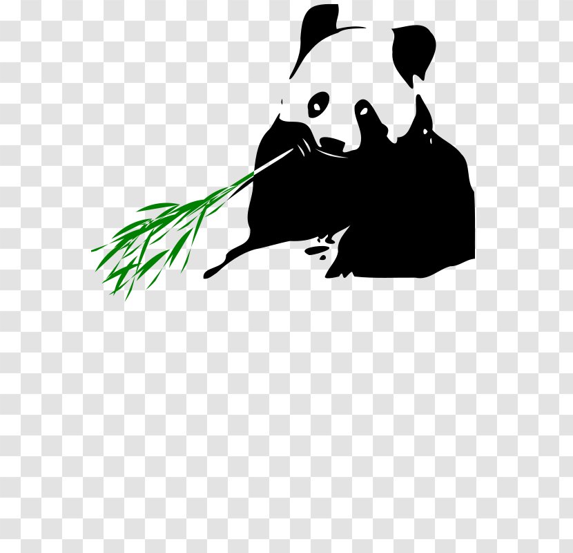Giant Panda Bear Tropical Woody Bamboos Eating Clip Art - Herbivore Transparent PNG