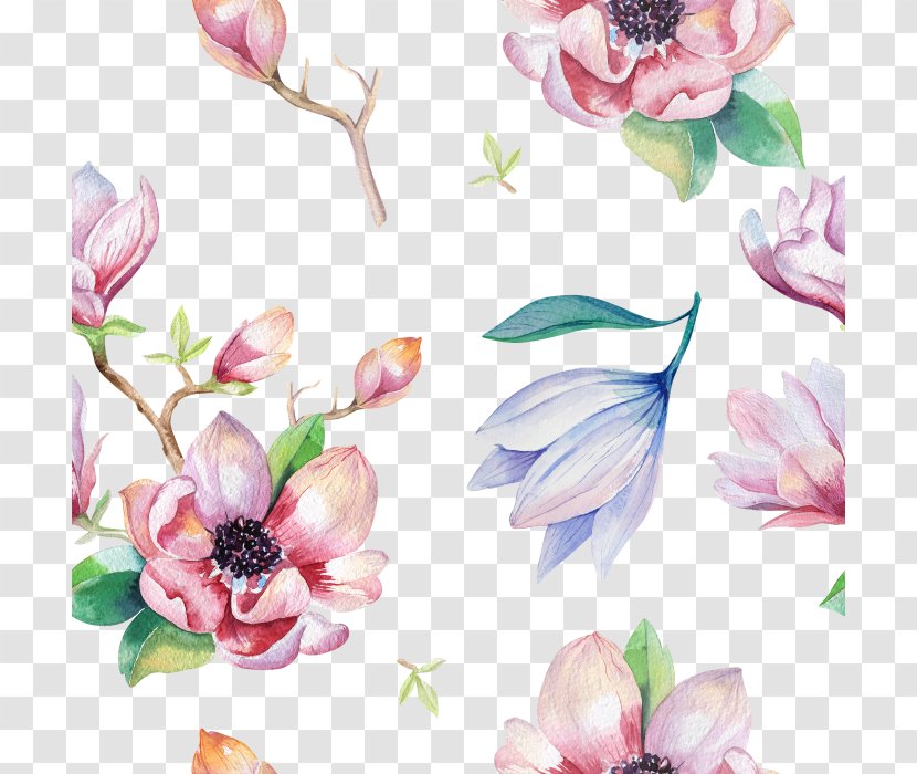 Watercolor Painting Magnolia Flower Drawing - Arranging Transparent PNG
