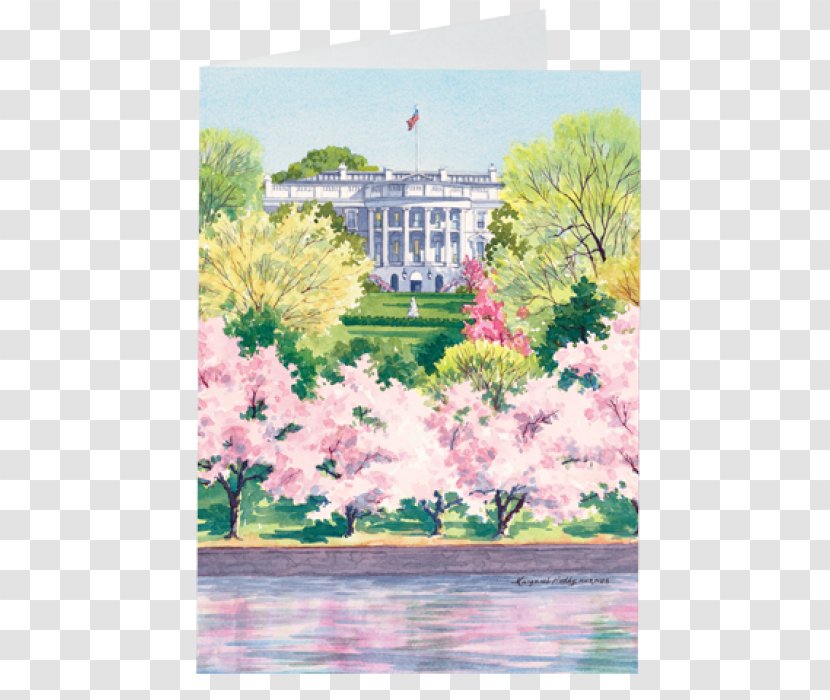 White House Earring Tidal Basin National Cherry Blossom Festival - Flower - Poster Transparent PNG