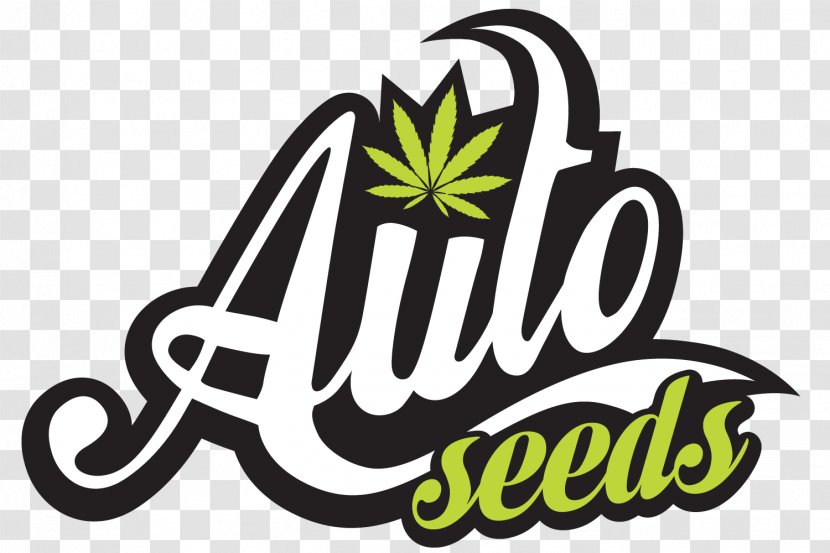 Autoflowering Cannabis Seed Bank Kush - Cultivation - Marijuana Transparent PNG