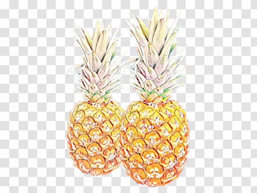 Pineapple - Plant - Poales Food Transparent PNG