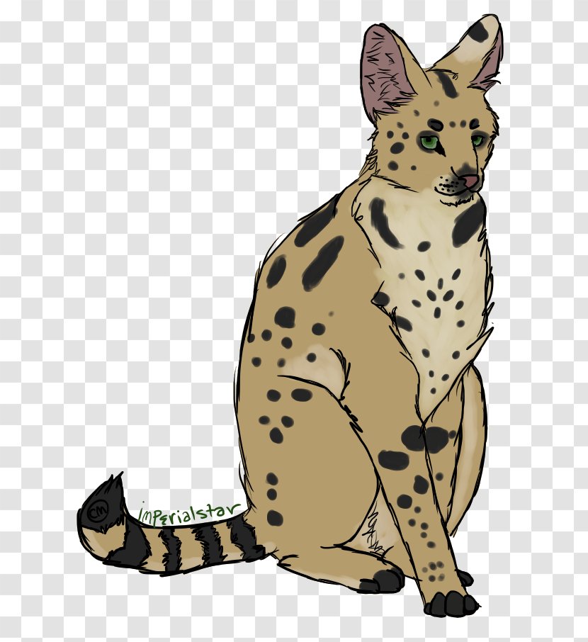 Whiskers Cat Cheetah Non-sporting Group Dog Breed - Big Cats Transparent PNG