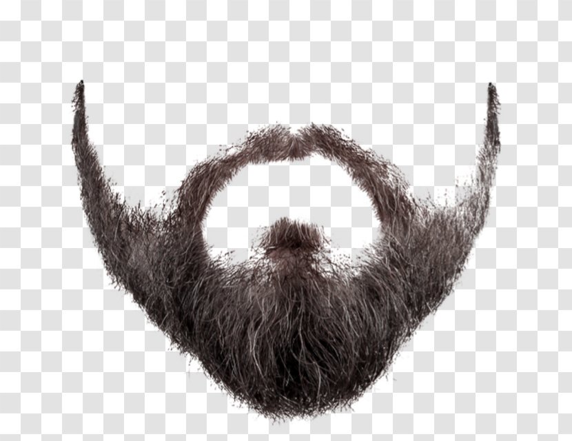 Movember Beard Clip Art - Snout Transparent PNG