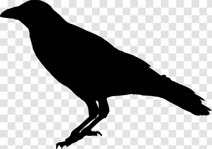The Raven Common - Wing - Bird Transparent Image Transparent PNG