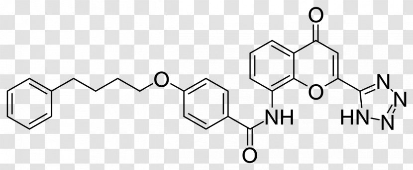Montelukast Pranlukast Cysteinyl Leukotriene Receptor 1 Antileukotriene - Antagonist - Beta2 Adrenergic Transparent PNG