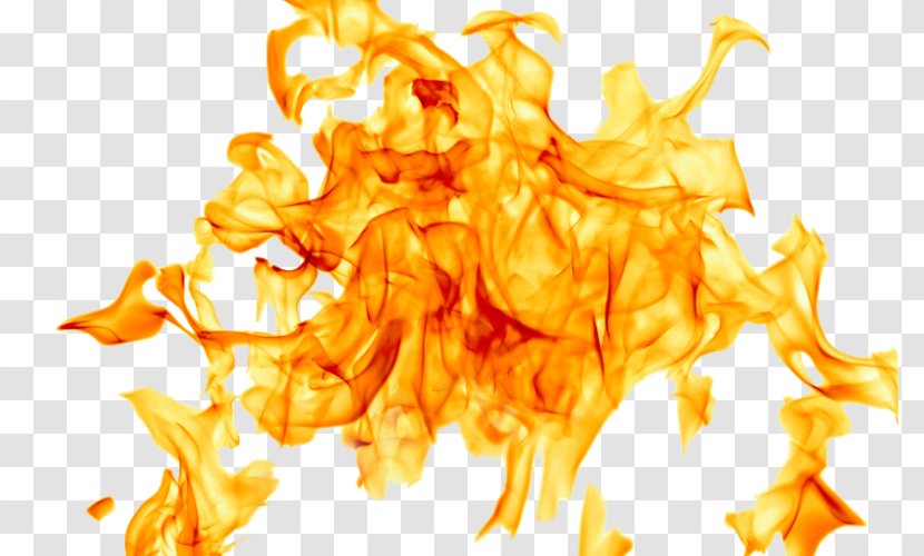 Stock Photography Desktop Wallpaper Combustion Flame - Flower Transparent PNG