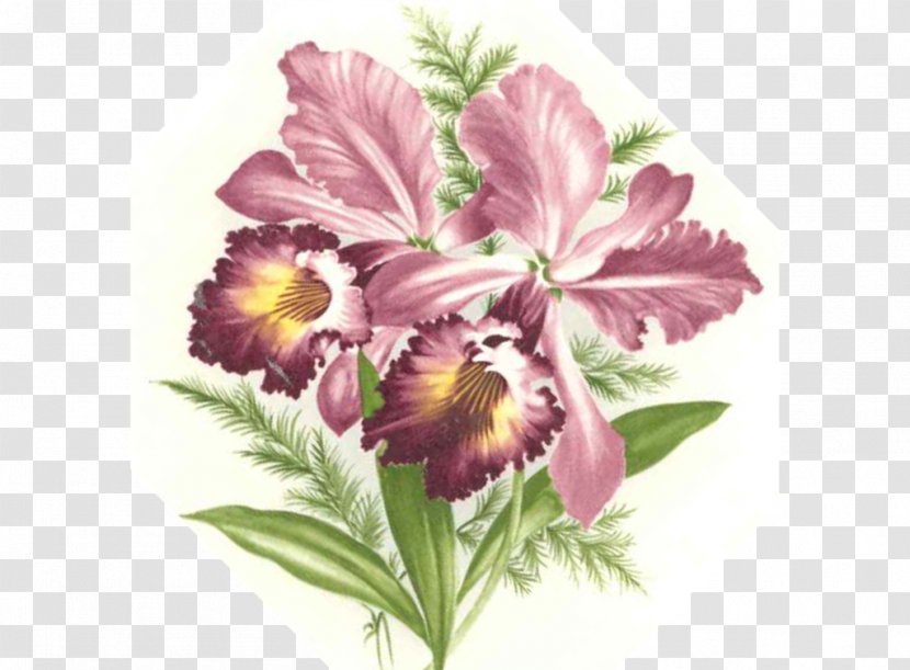 Floral Design Cut Flowers Violet Petal - Flowering Plant - Flower Transparent PNG