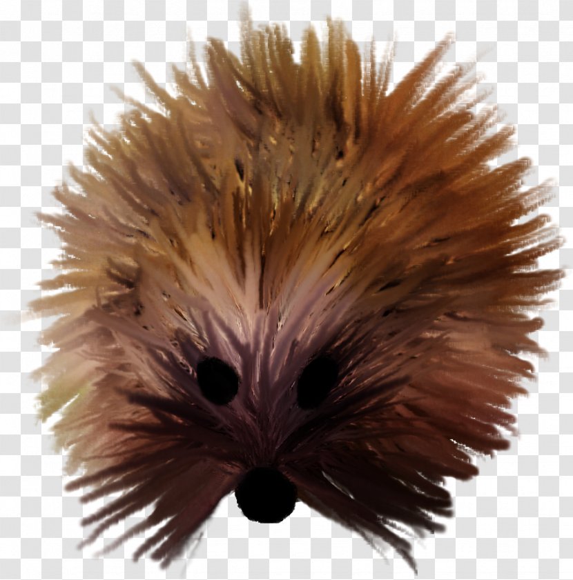 European Hedgehog Cat Clip Art - Black - Hand Drawn Transparent PNG