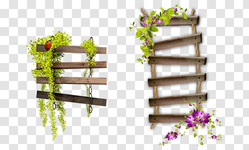 Bench Garden Spooky Hour Clip Art - Floristry - Flower Frame Ladder Transparent PNG