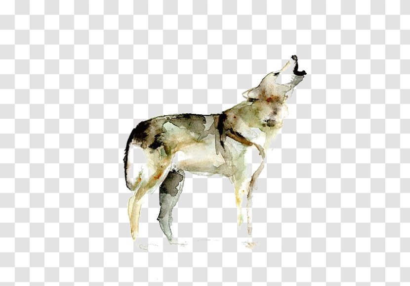 Gray Wolf Watercolor Painting Printmaking Drawing - Painted Transparent PNG