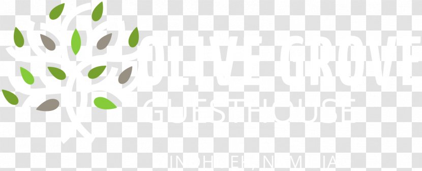 Leaf Logo Clip Art - Petal - Olive Transparent PNG