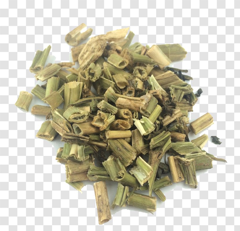 Green Tea Sencha Genmaicha White - Blending And Additives - Bitter Herbs Solanum Nigrum Black Day Transparent PNG