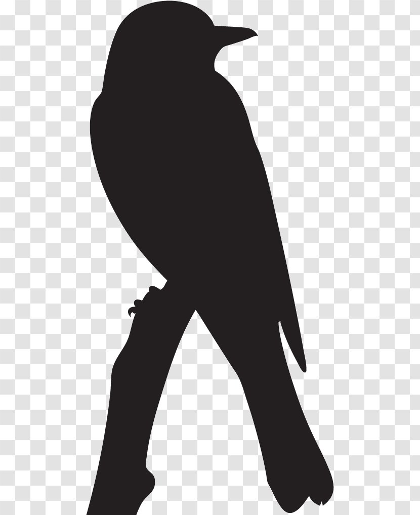 Birds Silhouette - Great Kiskadee - Blackandwhite Joint Transparent PNG