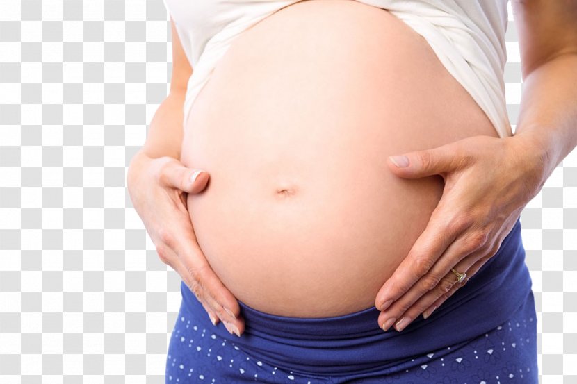 Pregnancy Woman Mother Abdomen - Frame - Pregnant Woman,belly,pregnancy,Mother,Pregnant Transparent PNG