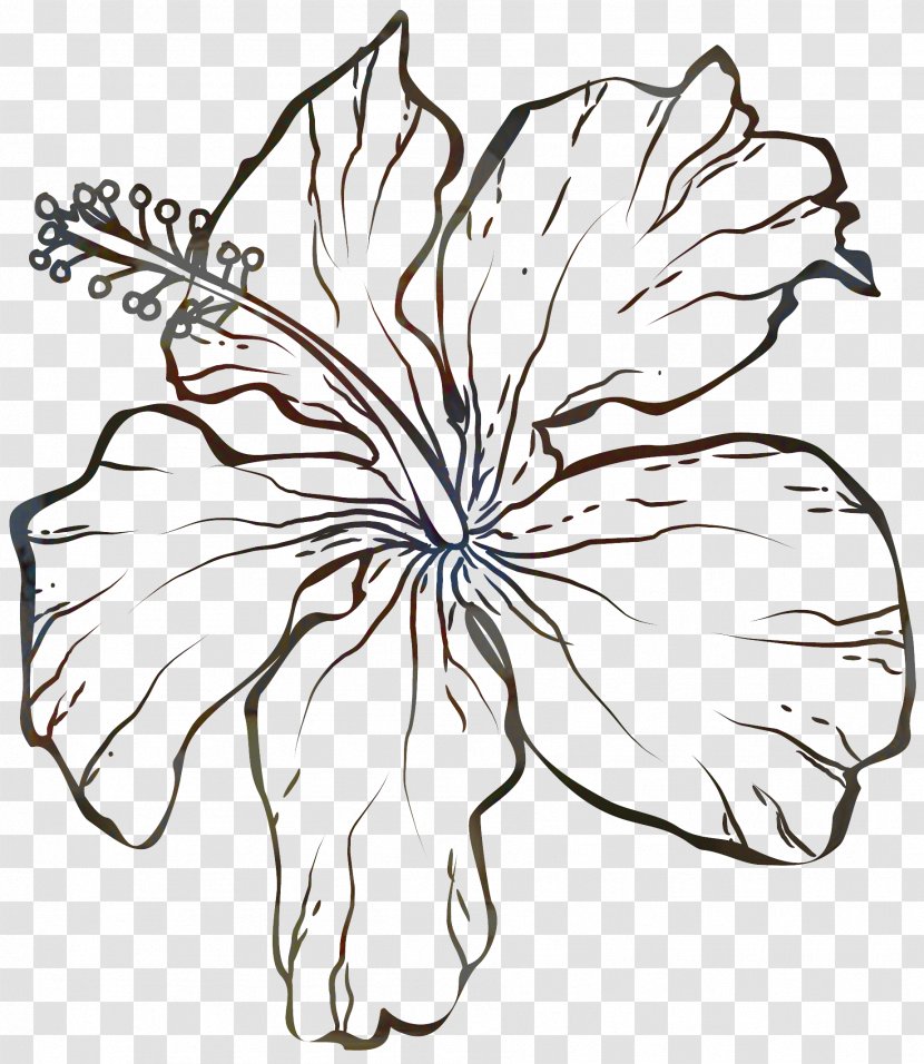 Black And White Flower - Blackandwhite - Wildflower Mallow Family Transparent PNG