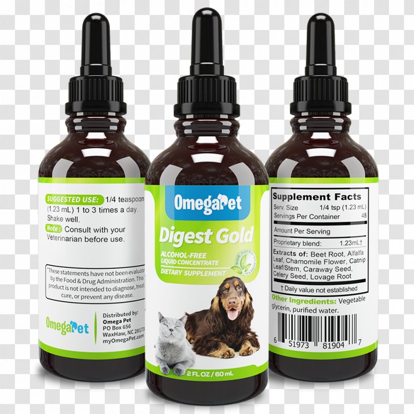 Dog Cough Medicine Cat Kennel Pet - Watercolor Transparent PNG