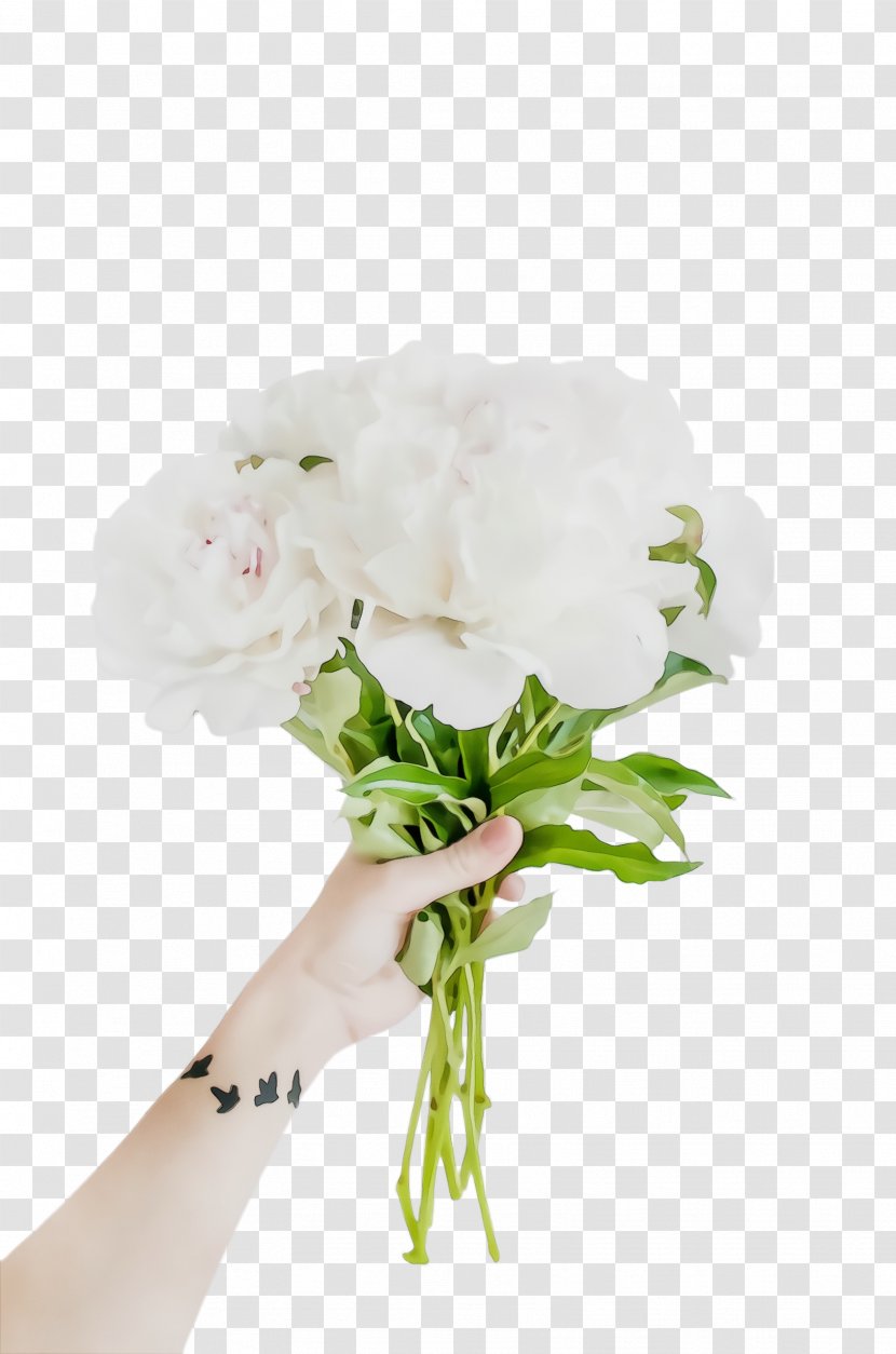 Flower Bouquet - Paint - Cornales Moth Orchid Transparent PNG