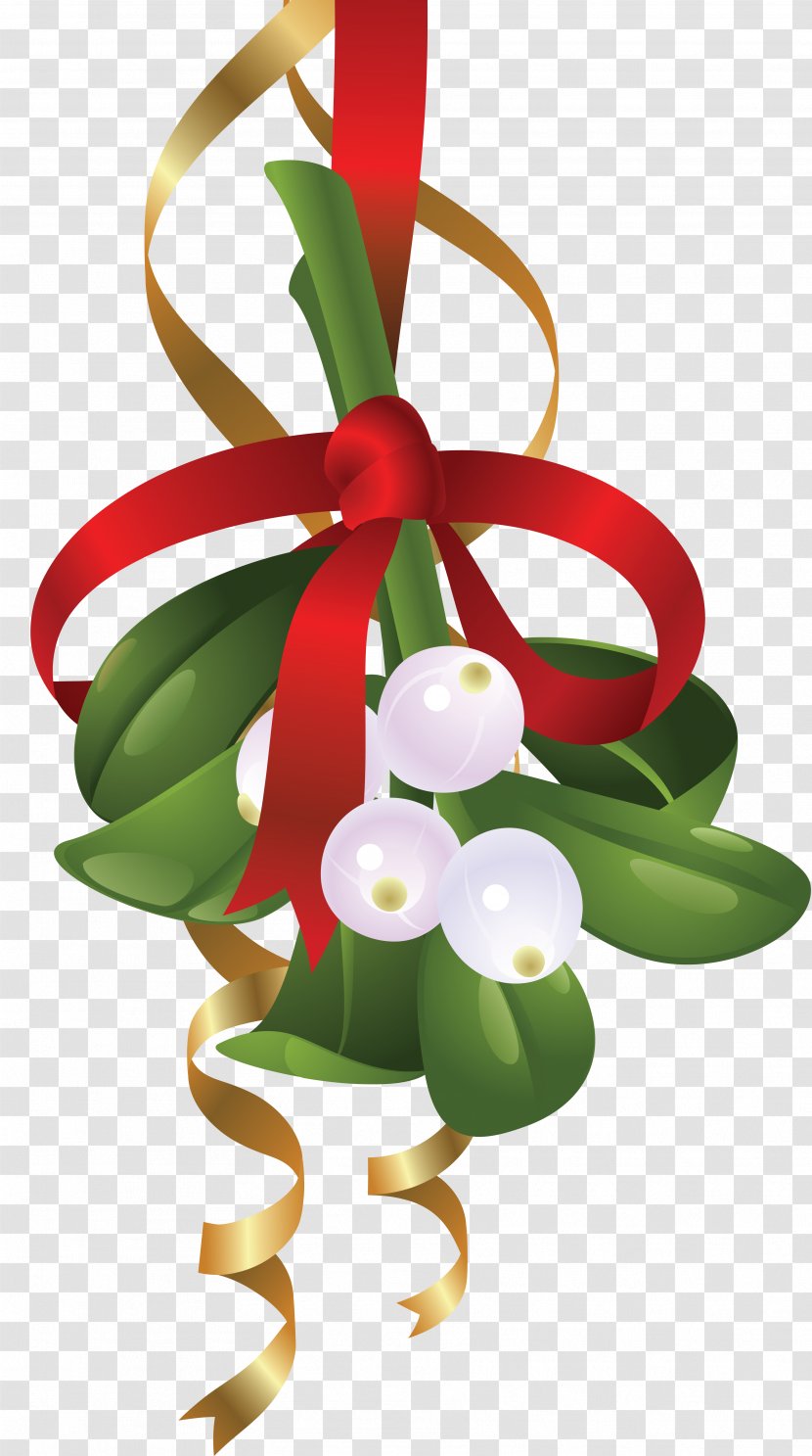 Mistletoe Clip Art Illustration Image - Canada Day Celebration Ribbon Christmas Transparent PNG