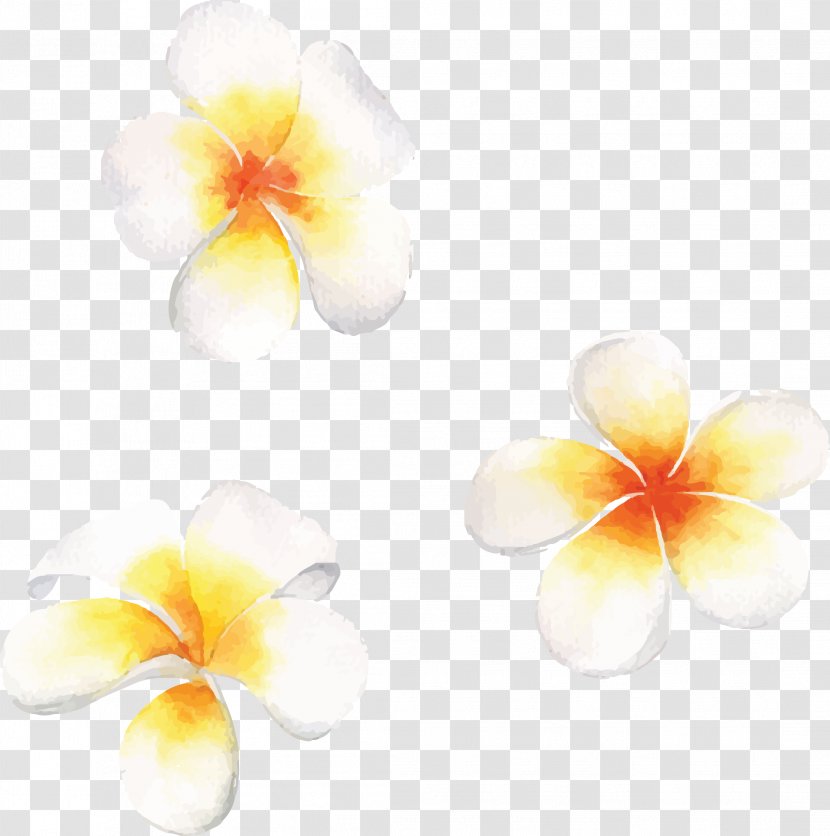 Watercolor: Flowers Watercolor Painting - Vector Hand Painted Egg Flower Transparent PNG