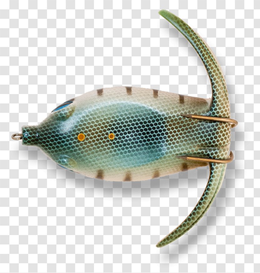 Bony Fishes - Fish - Rosheim Transparent PNG