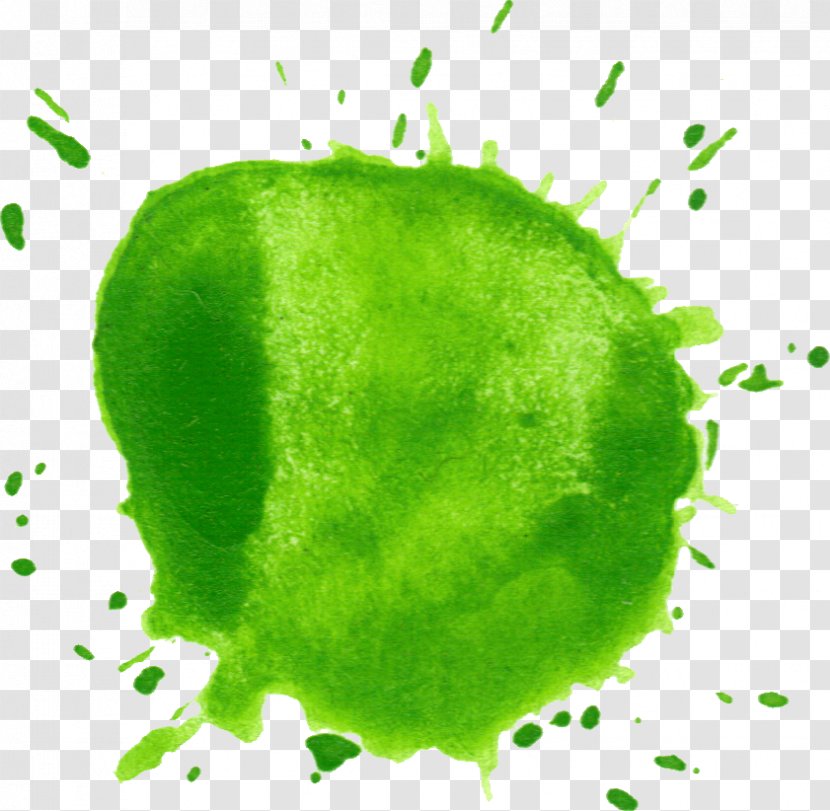 Ketegan Watercolor Painting Green - Blog - Lime Transparent PNG