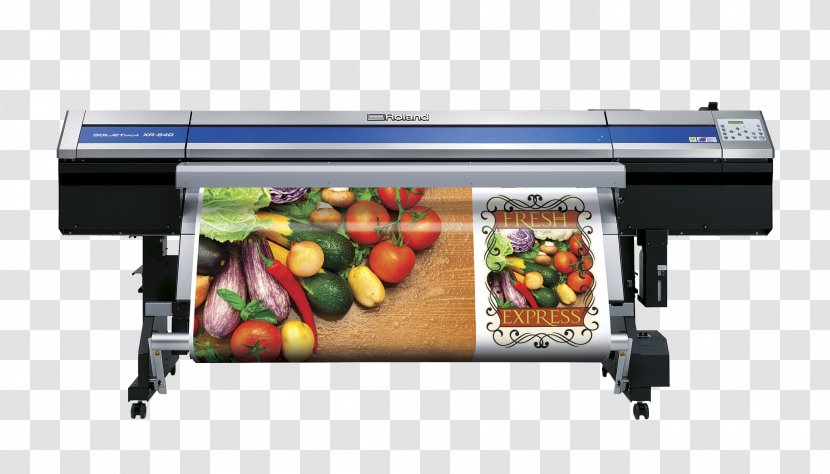Printing Wide-format Printer Roland DG Corporation - Digital Transparent PNG