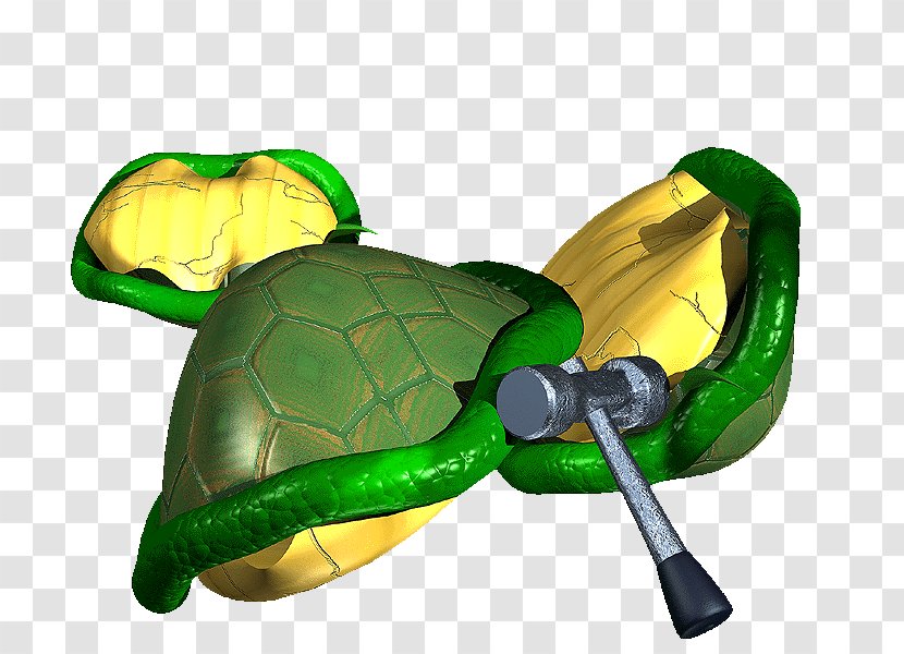 Turtle Tortoise .pptx - Fugu Transparent PNG