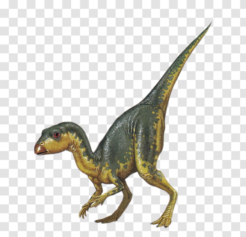Velociraptor Tyrannosaurus Dinosaur Clip Art Transparent PNG