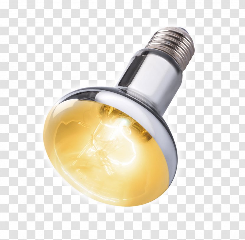 Light Bulb Cartoon - Lighting - Metal Brass Transparent PNG