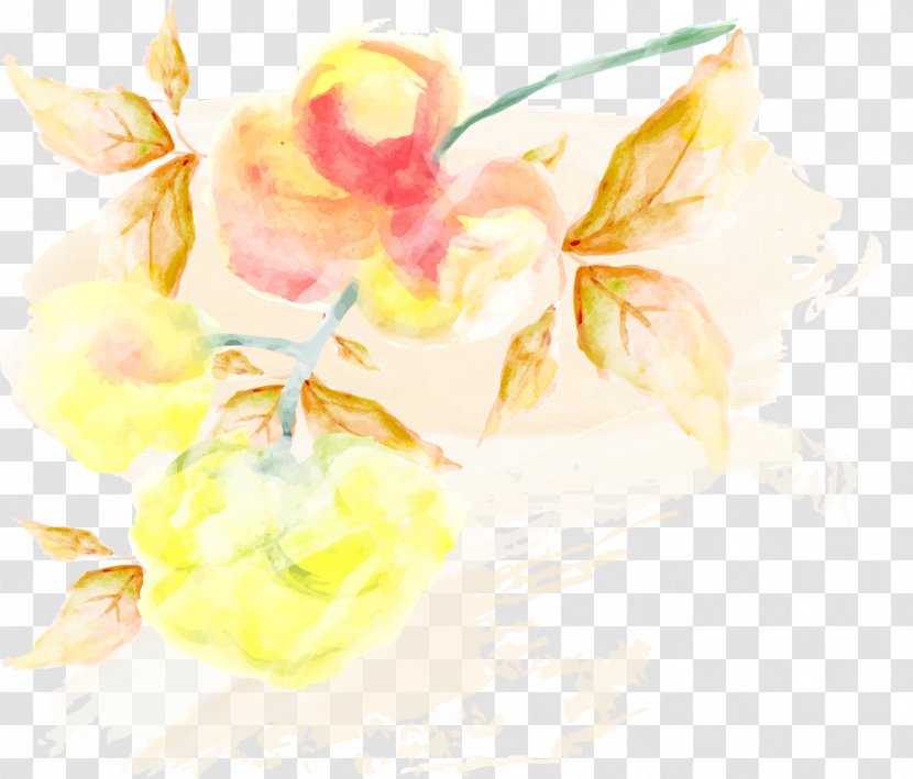 Vector Graphics Graphic Design Clip Art Watercolor Painting - Still Life Photography Transparent PNG