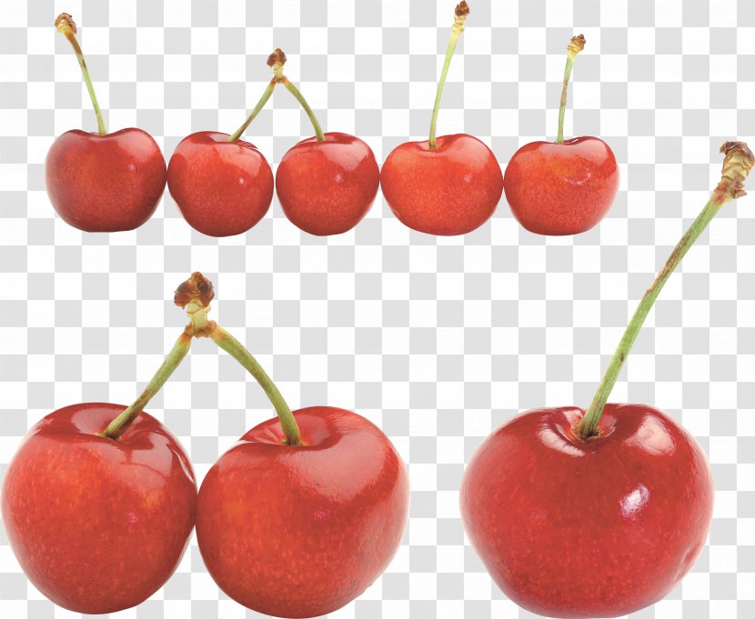 Cherry Auglis Food Fruit Malpighia Glabra Transparent PNG