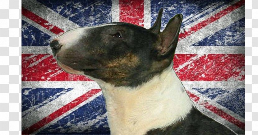 Flag Of England The United Kingdom Great Britain - Dog Breed Transparent PNG