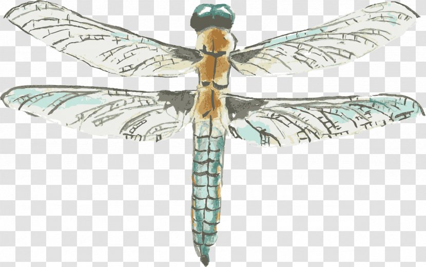 Dragonfly Watercolor Painting Drawing - Dragonflies And Damseflies - Vector Element Transparent PNG