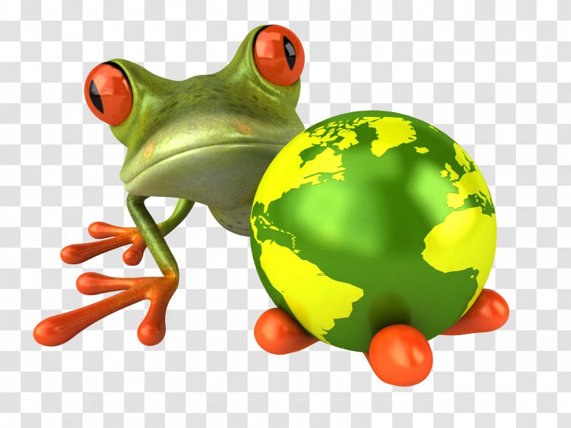 The Frog Went Travelling Venice Accommodation - Grass Transparent PNG