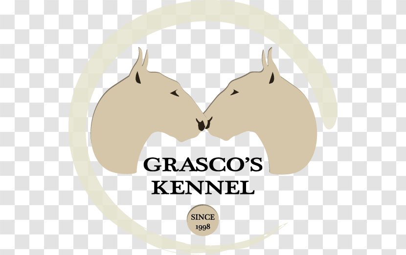 Miniature Bull Terrier Conformation Show Grasco's Kennel European Dog - Norfolk Transparent PNG