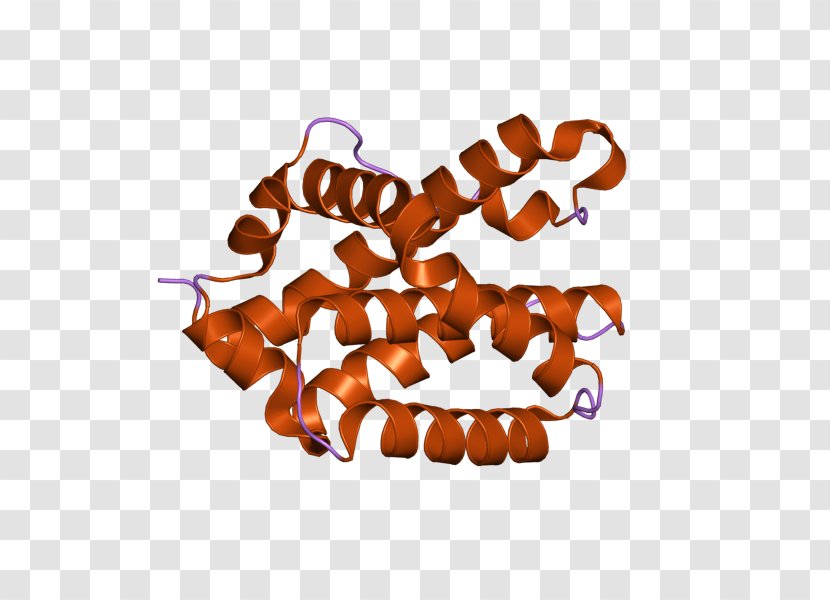 Bcl-2 Homologous Antagonist Killer Apoptosis Chromosome 6 Gene - Cell - Homology Transparent PNG