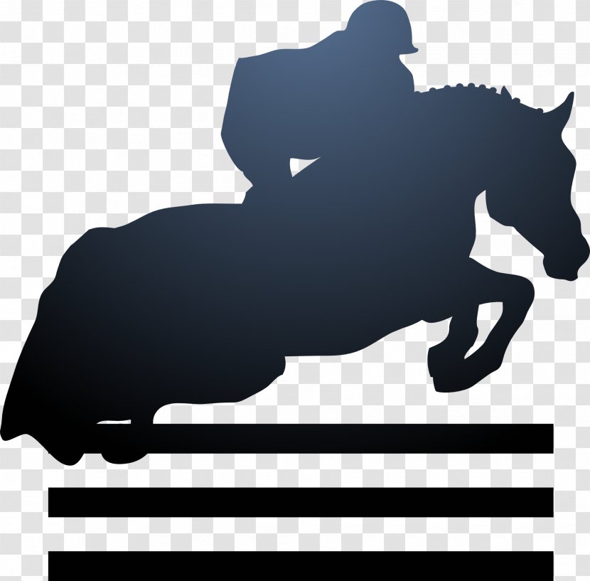 Horse Show Equestrian Jumping - Sport Transparent PNG
