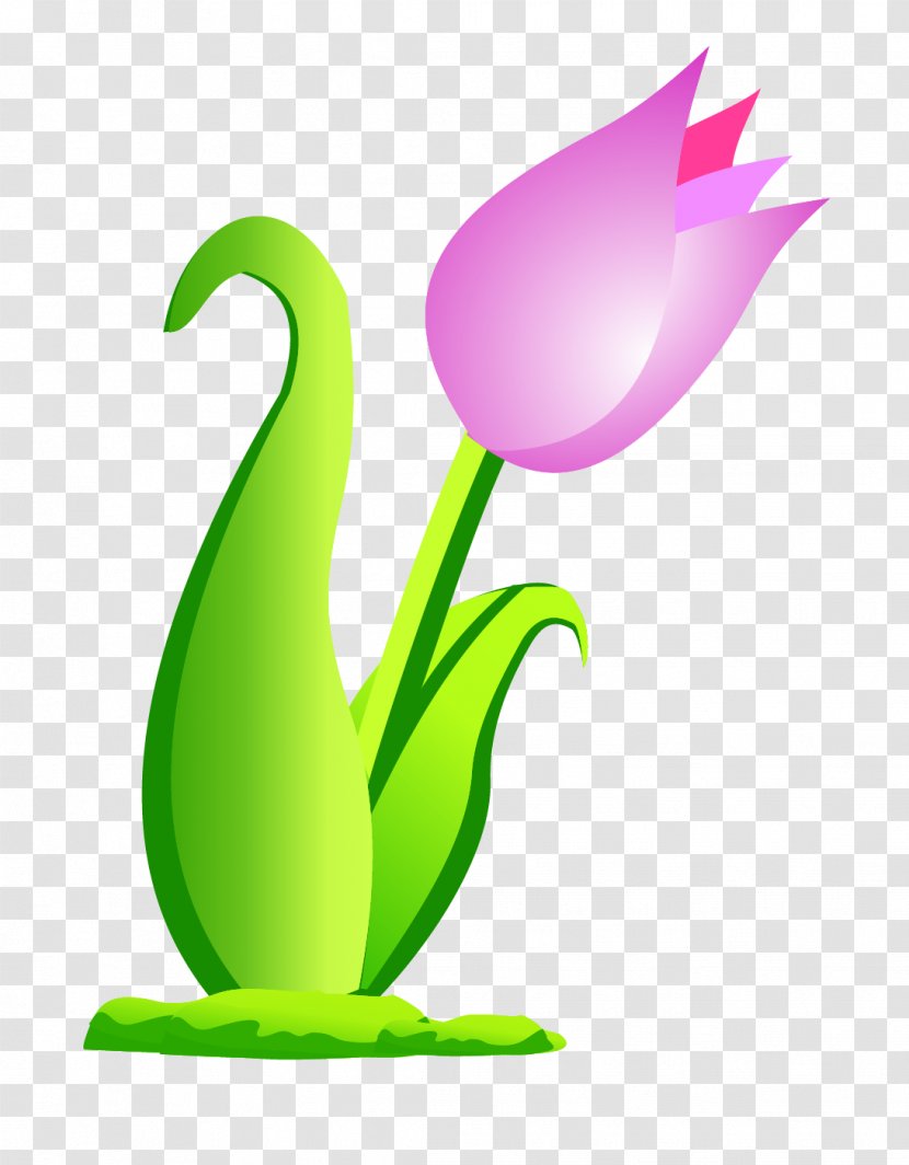 Cdr Flower Clip Art - Plant - Vector Floral Flowers Transparent PNG