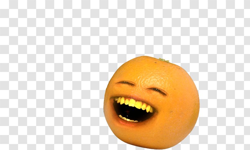 Orange YouTube Laughter Video - Calabaza - Oranges Transparent PNG