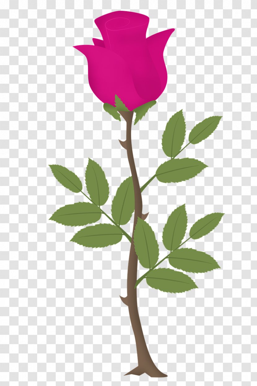 Pink Rose Flower - Long Transparent PNG