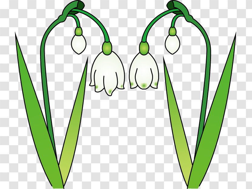 Flower Snowdrop Clip Art - Plant Stem Transparent PNG