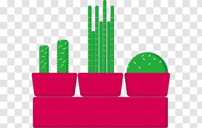 Cactaceae Plant Flowerpot - Rectangle - Vector Cactus Plants Transparent PNG