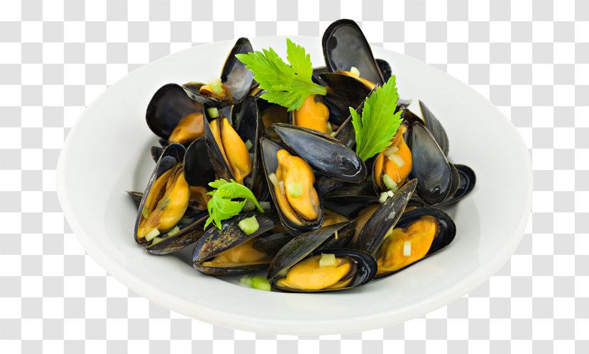 Blue Mussel Clam Oyster Seafood - Cooking Transparent PNG
