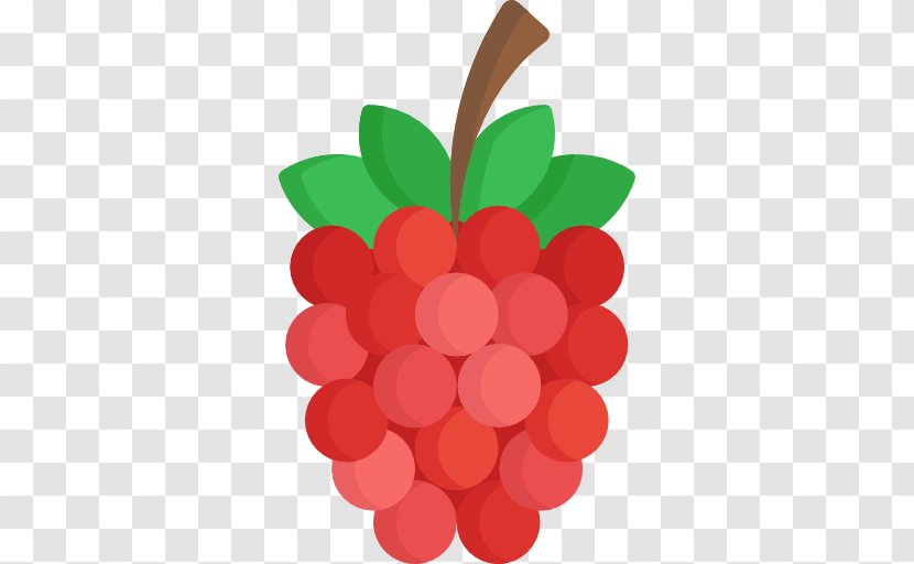Grape - Vitis - Raspberry Transparent PNG